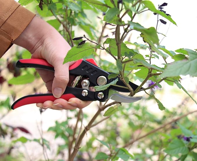 TABOR TOOLS S851A Bypass Hand Pruner with Compound Action, Makes Clean Cuts. Professional Sharp Secateurs, Pruning Shears, Garden Shears, Clippers for the Garden.