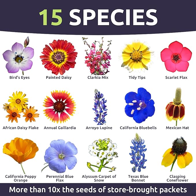 Southwest Regional Mix - Large 1 Ounce Packet - 15,000 Flower Seeds for Planting - Wildflower Mix