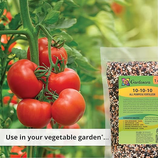 Premium All-Purpose Fertilizer 10-10-10 - Fertilizer for Vegetable Garden & Flowerbed Roses & Large Shrubs and Fruit Trees - 3 Quart