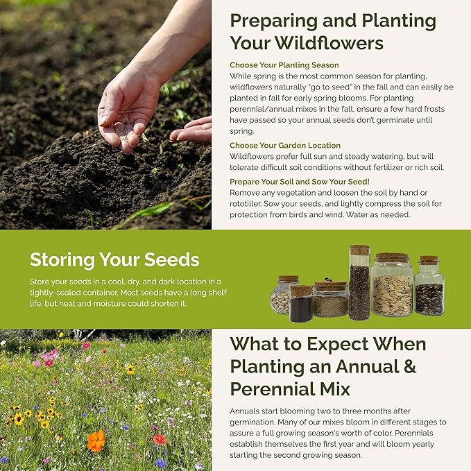 Eden Brothers Midwest Wildflower Mixed Seeds for Planting, 50 lb, 24,000,000+ Seeds with Cornflower, Candytuft, Mexican Hat, Attracts Pollinators, Plant in Spring or Fall, Zone 3, 4, 5, 6, 7, 8, 9, 10