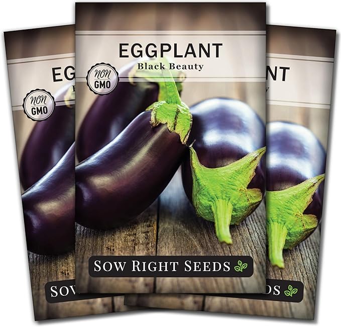 Sow Right Seeds - Black Beauty Eggplant Seed for Planting - Non-GMO Heirloom Packet with Instructions to Plant an Outdoor Home Vegetable Garden - Large Round Fruits, Deep Purple Variety (3)