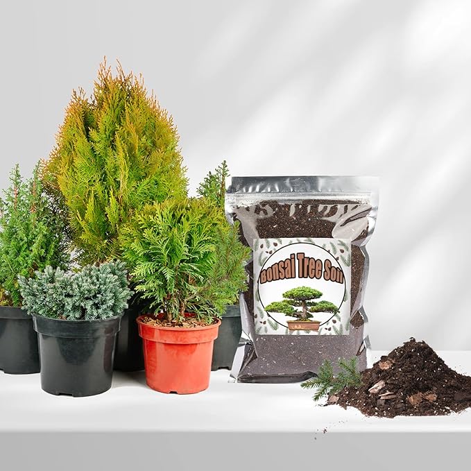 Bonsai Soil Mix 10qt Ready to Use, Organic Bonsai Tree Soil Fits for Small Bonsai Pot, Suitable for Bonsai Seedling, Repotting, or Bonsai Starter Kit
