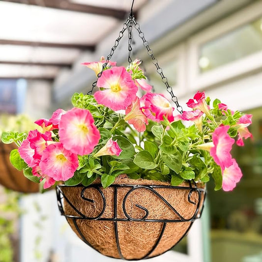 LaLaGreen Hanging Planter for Outdoor Plants (2 Pack, 10 Inch) Hanging Baskets with Coco Liner, Metal Wire Flower Basket Pots with Hook Hanger Balcony Porch Farmhouse Country Style Garden Decor