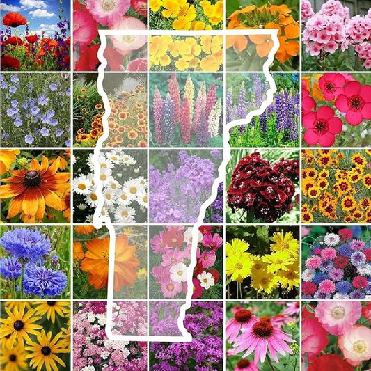 Eden Brothers Vermont Wildflower Mixed Seeds for Planting, 1 lb, 480,000+ Seeds with Cosmos, Cornflower | Attracts Pollinators, Plant in Spring or Fall, Zones