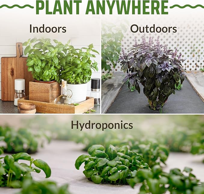 Rooted Acre 8 Basil Seeds Pack - 4000 High Germinating Fresh Basil Seeds - Thai, Genovese, Lemon, Tulsi Holy Basil, & More Culinary Herb Seeds - Non GMO, USA Heirloom Basil Seeds for Planting