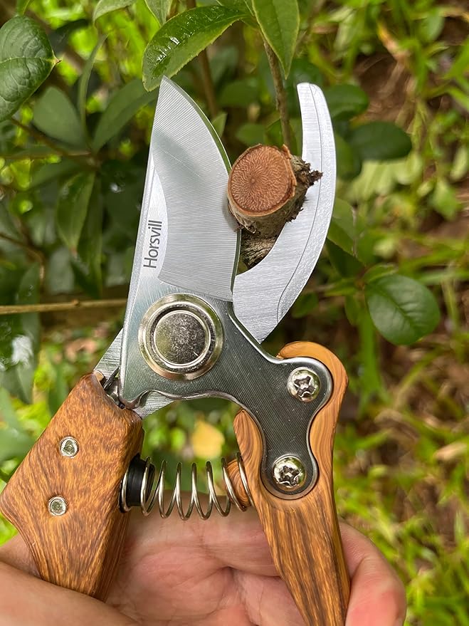 Branch Trimmer, Japanese Bonsai Trimming Scissors, Garden Clippers Handheld, Ergonomic Gardening Tools, Floral Shears Gardening Set, Garden Pruners Farming Tools (Wood Silver)