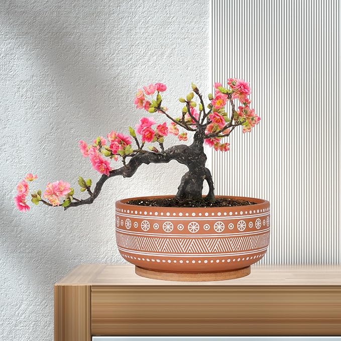 8 Inch Terracotta Succulent Planter Pot with Drainage Hole and Bamboo Tray, Round Shallow Bonsai Pot for Indoor Plants