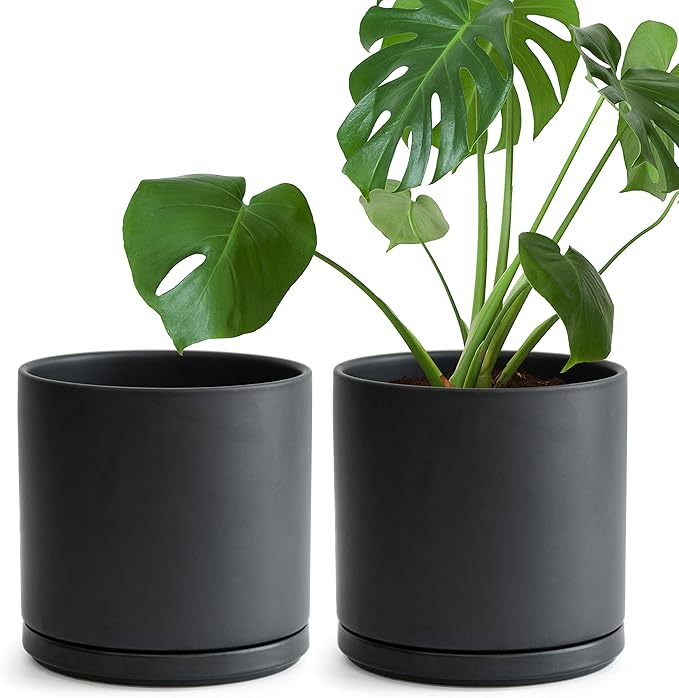 D'vine Dev Set of 2 Plants Pots, 8 Inch Ceramic Planter Pot for Plants with Drainage Hole and Saucer, Black, 94-V-D-2