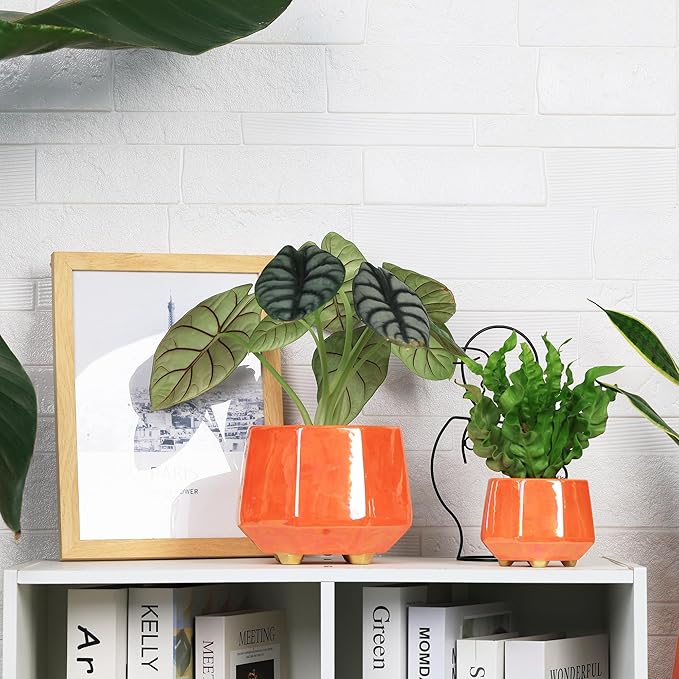 6 Inch + 4 Inch Ceramic Planter for Indoor Plants - Plant Pots with Drainage Hole - Modern Minimalist Flower Pot for Succulents and Herbs - Peach