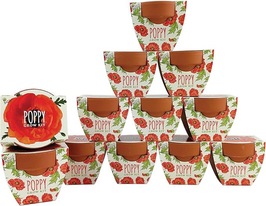 BUZZY Seeds Terracotta Mini Grow Pots | Herb, Plant, Flower Starter Kit for Kids & Adults | Assorted 12-Pack, Poppy | Guaranteed to Grow | Best Indoor Grow Your Own Plant Gardening Gift