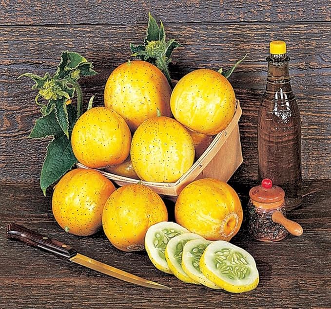 Burpee 'Lemon' Cucumber Seeds, 100 Non-GMO seeds, Heirloom