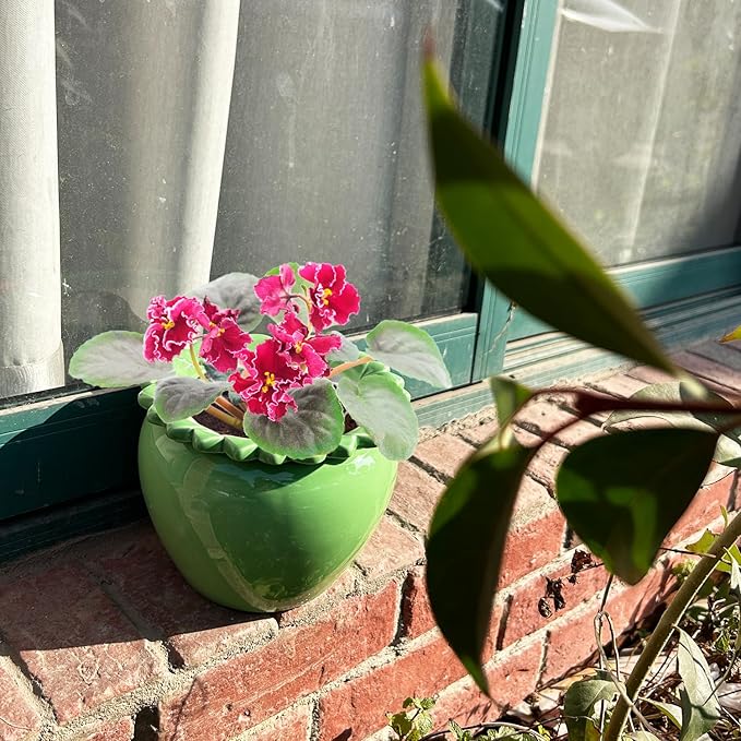 African Violet Flower Pot Green Ceramic Self Watering Flower Pot 6.5 * 4.6 * 4 inch Simple Plant Self Watering Pot Indoor Flowers High Absorption Herbaceous Flower Pots Modern Decor Pots