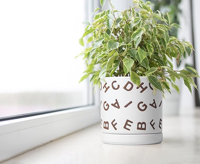 D'vine Dev Set of 2 Ceramic Planter Pots with Drainage Hole and Saucer, 4.5 Inch 6 Inch Plant Pots for Plants Indoor Houseplants, White, 99-G-1