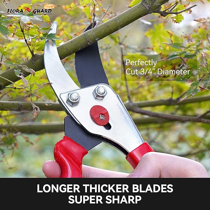 Flora Guard Garden Shears 8.5" Bypass Pruning Shears, Professional Ultra Sharp Sk5 Steel Garden Clippers, Heavy Duty Plant Cutting Scissors Garden Tools Supplies, Hedge Branch Trimmer, Super Durable