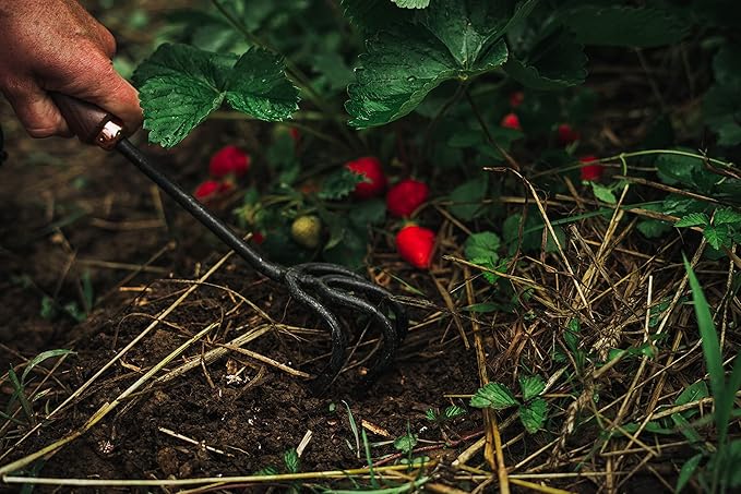 Barebones Cultivator - Weed Remover Tool - Garden Rake and Weeding Tool for Yard Work - Stainless Steel Cultivator for Raking Soil (Walnut/Black)