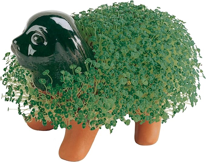 Chia Pet Puppy with Seed Pack, Decorative Pottery Planter, Easy to Do and Fun to Grow, Novelty Gift, Perfect for Any Occasion