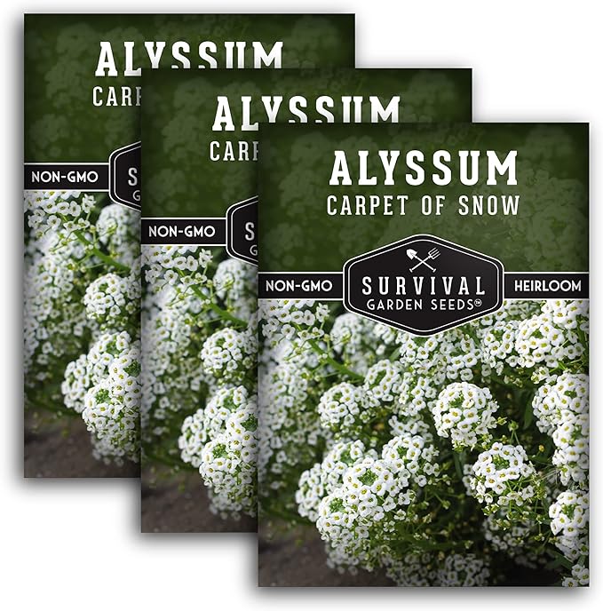 3 Packs Carpet of Snow Alyssum Seed for Planting with Instructions to Grow Lobularia maritima in Your Home Flower or Vegetable Garden - Non-GMO Heirloom - Survival Garden Seeds