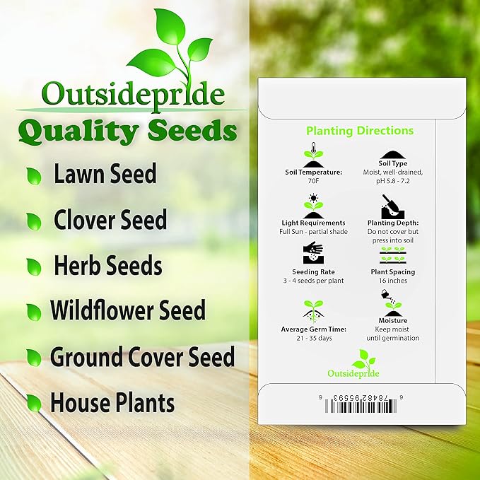 Outsidepride 1000 Seeds Perennial Stachys Byzantina Lamb's Ear Flower Seeds for Planting