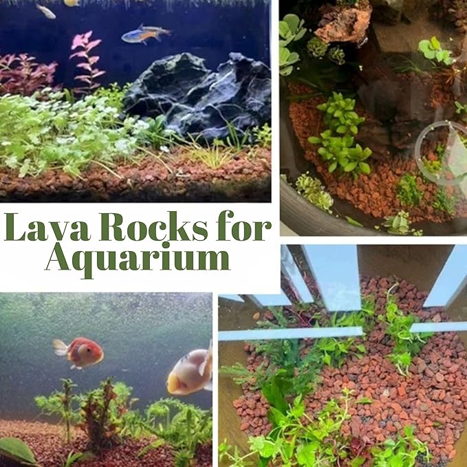 18LB Red Lava Rocks for Plants, Volcanic Rock Horticultural Lava Rock Soil for Landscaping Plants Drainage, Small Lava Rock Gravel for Succulents, Bonsai, Vase Fillers, Terrarium Plants, Top Dressing