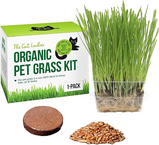 Cat Grass Growing Kit -Organic Seed, Soil and BPA Free containers (Non GMO). All of Our Seed is Locally sourced! (1 Pack)