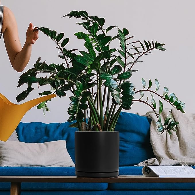 D'vine Dev 8 Inch Ceramic Planter Pot with Drainage Hole and Saucer, Indoor Cylinder Round Planter Pot, Black, 94-O-D-2