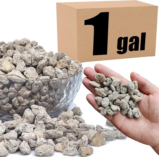 Organic Pumice for Bonsai and Horticultural 100% Natural (1 gallons, 1/2 inch)