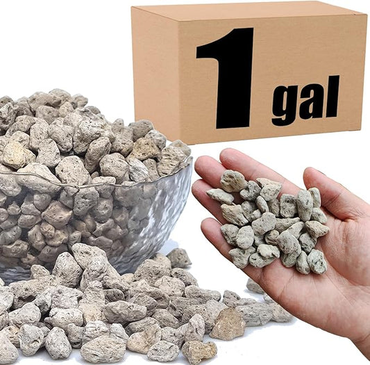 Organic Pumice for Bonsai and Horticultural 100% Natural (1 gallons, 1/2 inch)
