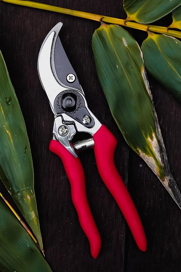 Raysbee Premium Plant Cutting 8' Professional Garden Bypass Pruner,Ergonomic,Rust-Resistant,Sharp Heavy duty Carbon Steel Blade, 1/2" Cutting, Non-slip Grip, Garden Scissors, Clippers, Shears
