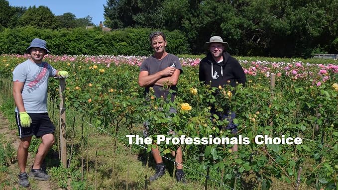 Soft Garden Plant Ties for Indoor & Outdoor Plants - Strong & Stretchy Cut-to-Length Plant Tape for Climbing Plants, Tomato Vines & Home Gardening (656 ft / 200M)