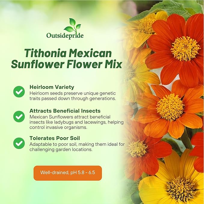 Outsidepride Mexican Sunflower Seeds Mix - 500 Pcs Annual, Easy-to-Grow, Mixed Tithonia Speciosa Flower Seeds w/Drought-Tolerant Blooms for Pollinator Gardens & Vibrant Summer Landscaping