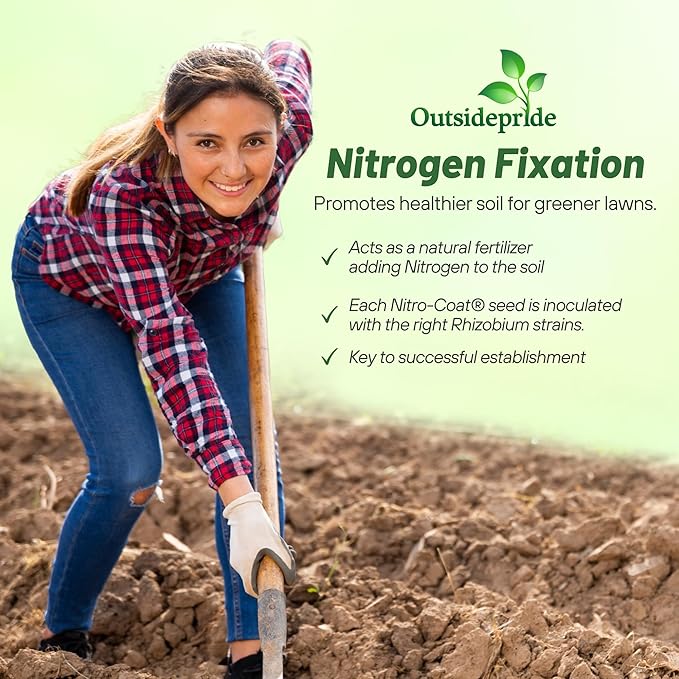 Outsidepride Perennial White Dutch Clover Seed - 1 lbs. Nitrocoated, Inoculated Clover Seeds for Lawn Alternative, Erosion Control, Food Plots, Ground Cover, & Pasture Mixtures in USDA Zones 3-10