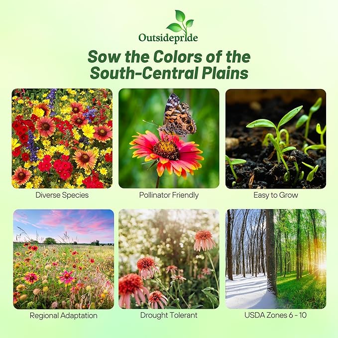 Outsidepride Texas & Oklahoma Wildflower Seed Mix - 1 lb. Drought-Tolerant, Blend of Annual & Perennial Flower Seeds for Vibrant, Pollinator-Friendly Gardens, Thrives in Full Sun & Well-Drained Soil