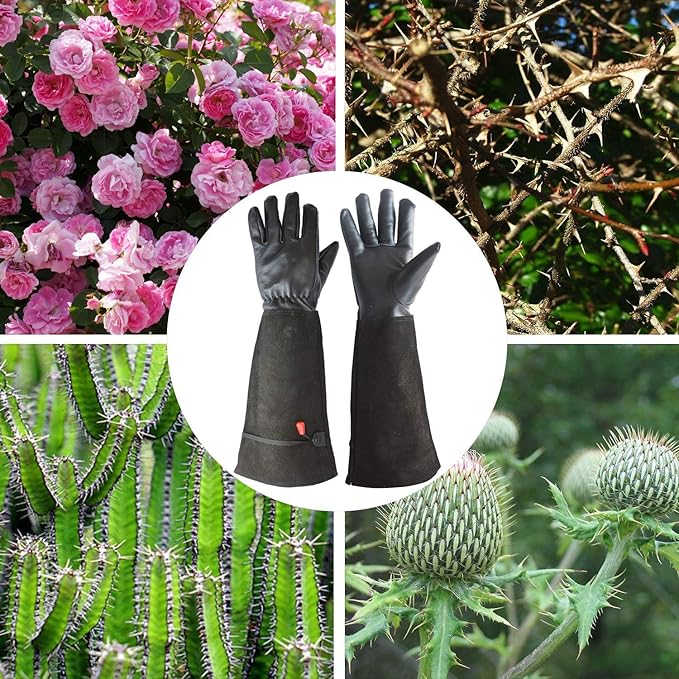 Cactus Gloves, Garden Gloves for Women Men Thorn Proof, Professional Puncture Resistant Gloves for Rose Pruning & Cactus, Long Leather Garden Gloves (Professional Thorn Proof) (Medium, Black)