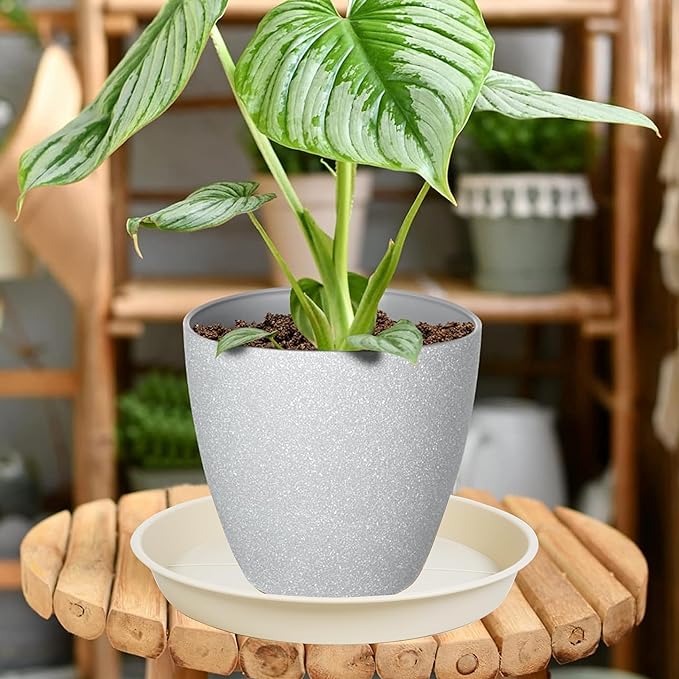 6 Pack of Plant Saucer Tray 9 10 inch, Heavy Duty Plastic Pot Plant Drip Trays Saucers for for Indoors Outdoor, Plant Water Tray for Planters 9-10" (10", Beige)