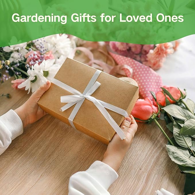 Lush&Dew Raised Garden Bed Seed Bank, 32 Varieties Non-GMO Seeds of Vegetables, Herbs, Flowers, Fruits, Gardening Gifts, Emergency Supplies, Survival Gear Food