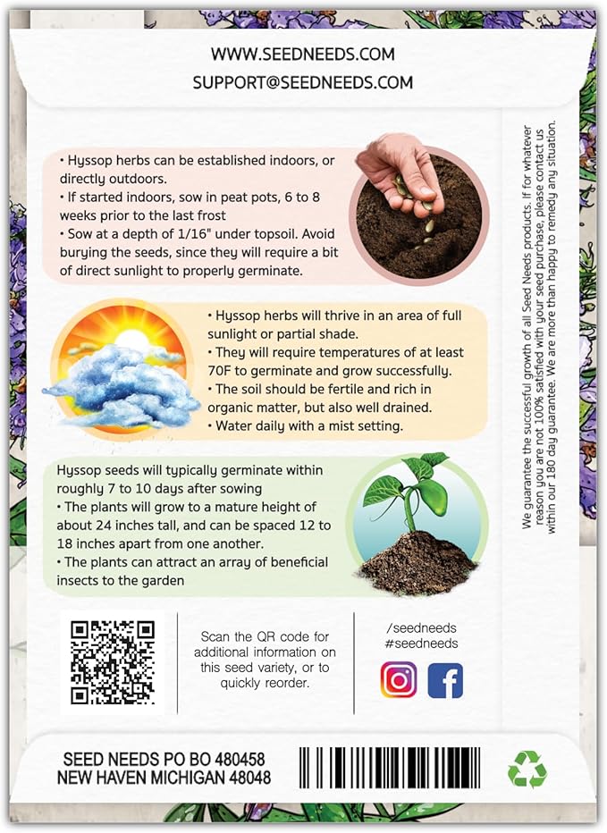 Seed Needs, Blue Hyssop Seeds - 500 Heirloom Seeds for Planting Hyssopus officinalis - Medicinal Herb for an Indoor/Outdoor Garden, Non-GMO & Untreated (2 Packs)