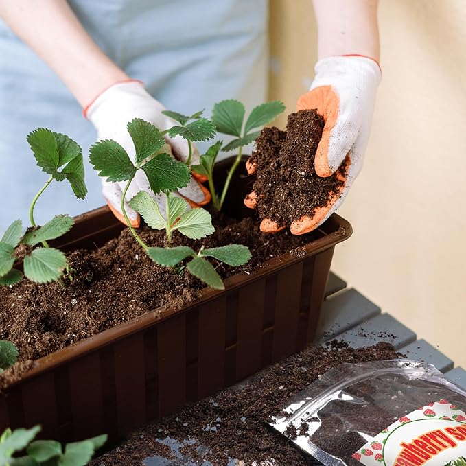 Organic Strawberry Soil Mix 4qt, Indoor Plants Potting Mix for All Potted Strawberry, Grow Healthy houseplants Indoors