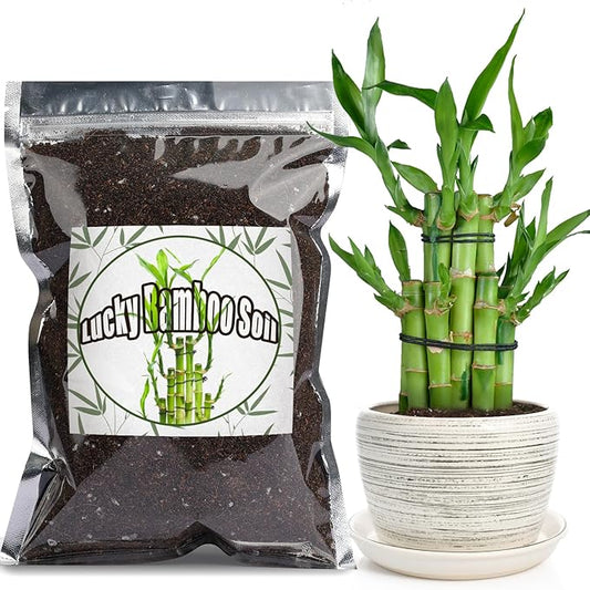 Premium Lucky bamboo Soil Mix 4qt, Indoor Plants Potting Mix for All Potted Luncky bamboo, Promote Healthy Growth and Longevity