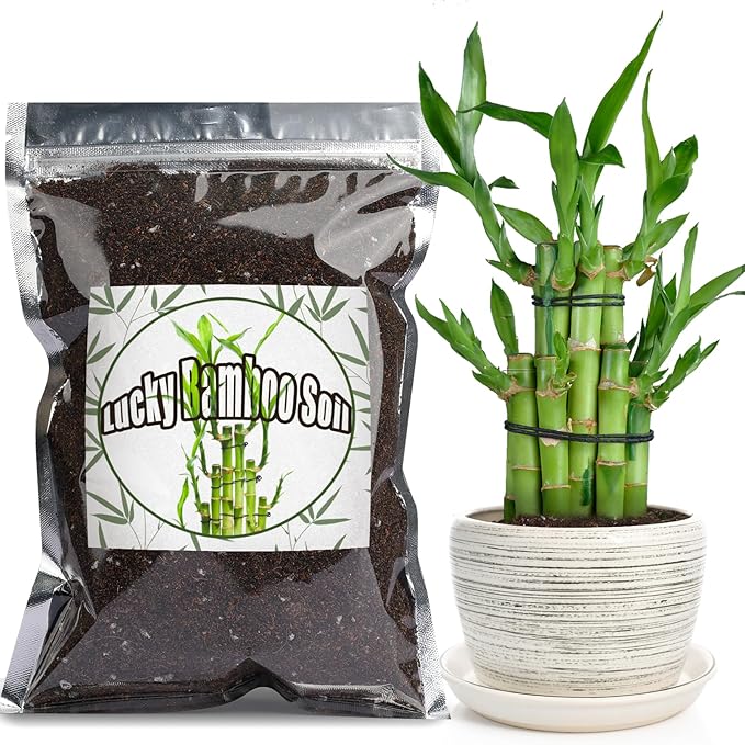Premium Lucky bamboo Soil Mix 1qt, Indoor Plants Potting Mix for All Potted Luncky bamboo, Promote Healthy Growth and Longevity