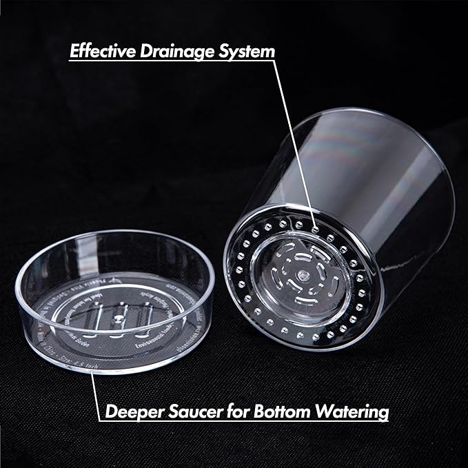 Phoenix Vine 4.5 Inch Clear Acrylic Planter Pot with Tray, Orchid Pot with Drainage Holes, Deep Saucer for Bottom Watering, Transparent Containers for Indoor Plants, Herbs, Set of 2, 91-A-E-2