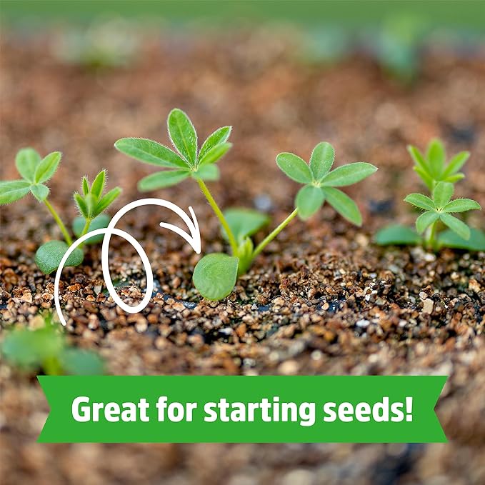 Back to the Roots 100% Organic Vermiculute | Made in The USA | Premium Nutrition for Indoor and Outdoor Plants