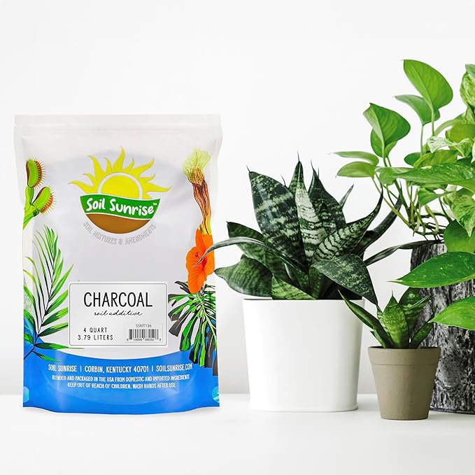 Horticultural Charcoal for Indoor Plants (4 Quarts), Hardwood Soil Additive for Orchids, Terrariums, and Gardening