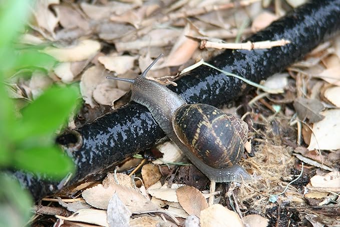 Watex Home Irrigation, Soaker Hose, 50 ft. Weeping hose, water-efficient irrigation, saving water by 60%