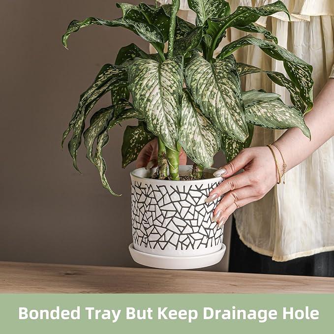 6 Inch Plant Pots: Ceramic Planter Pot with Drainage Hole & Saucer - Planters for Indoor/Outdoor Plants - Flower Pot with Bonded Tray for Home/Office - Tile Design Debossed