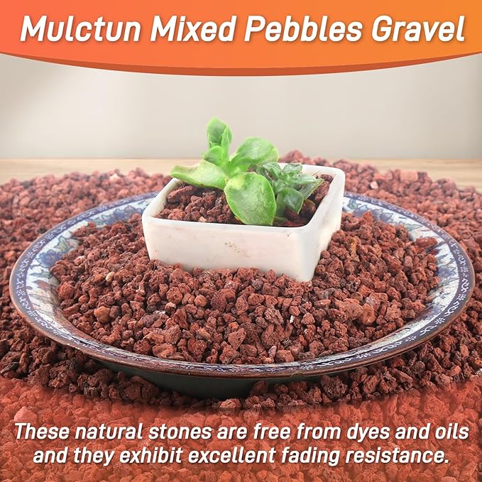 45Lb Horticultural Lava Rock-Lava Rocks for Plants,Succulent Soil Amendment,Decorative Cactus Soil Potting Mix,Volcanic Rock for Aquarium Fairy Gardening Top Dressing Plant Drainage