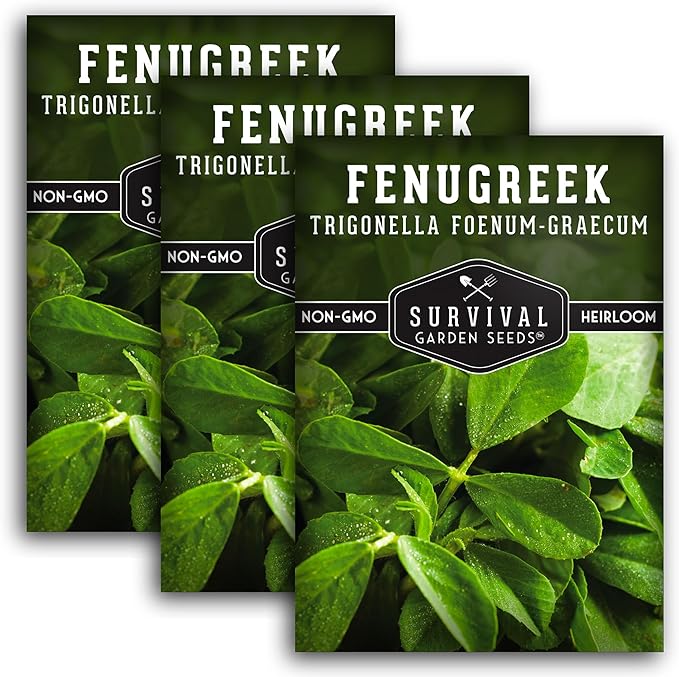 3 Packs Fenugreek Seed for Planting with Instructions to Grow Samudra Methi in Your Home Vegetable Garden - Non-GMO Heirloom - Good Microgreens or Sprouts - Survival Garden Seeds