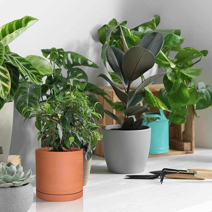 D'vine Dev Small 5 Inch Terracotta Plant Pot with Drainage Hole and Saucer, Round Cylinder Planter Pot for Indoor Plants, Set of 2, 40-X-B-2