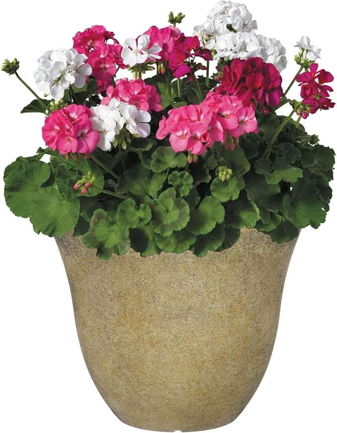 Classic Home and Garden Honeysuckle Planter, Patio Pot, 13" Fossil Stone (One Pack)