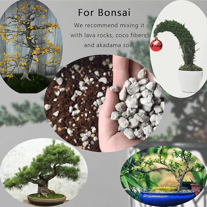 Horticultural Pumice for Plants 5QT, Natural Organic Pumice Stones for Succulent Cactus Bonsai Tree Orchid Potting Mixed, Improves Soil Aeration and Drainage, Promotes Root