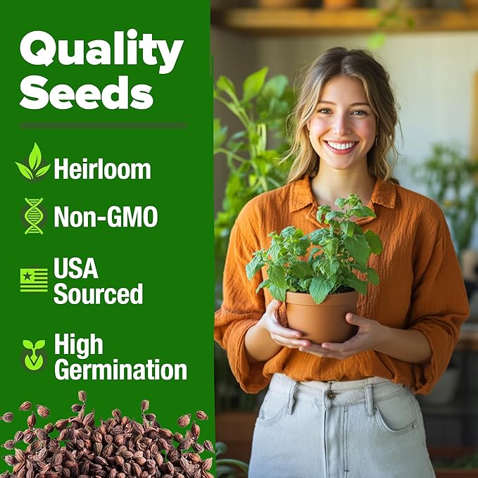 HOME GROWN Catnip Seeds 2 Pack - 4232 Bulk Non-GMO Heirloom Herb Seeds - Indoor or Outdoor Seed - High-Germination Cat Nip - Cat Safe Plants (Nepeta cataria)